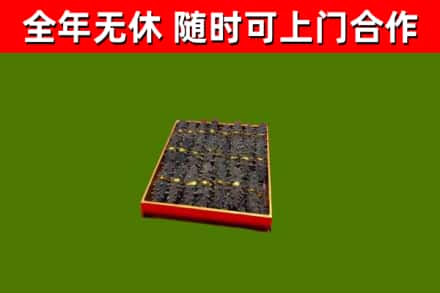 晋宁回收海参